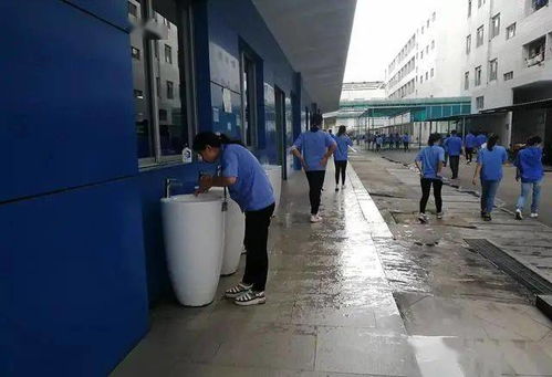 又一家出口电商平台倒闭，2021年民营外贸企业在安防工程领域的困境与反思